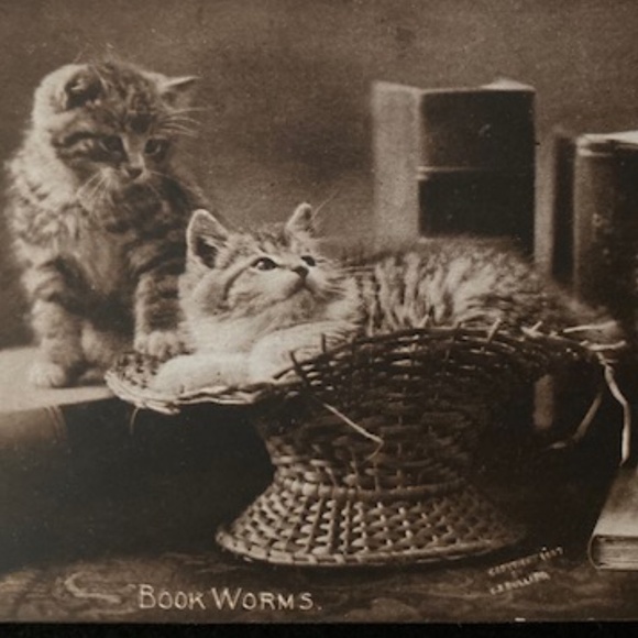 ~Welcome to my Closet~ - Picture 3 of 15